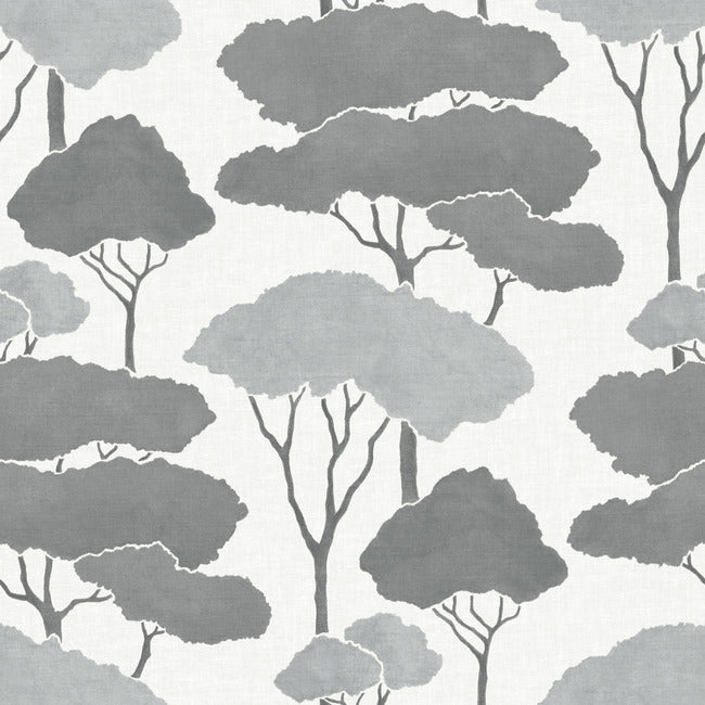 Umbrella Pines Peel & Stick Wallpaper Peel and Stick Wallpaper RoomMates Roll Grey 