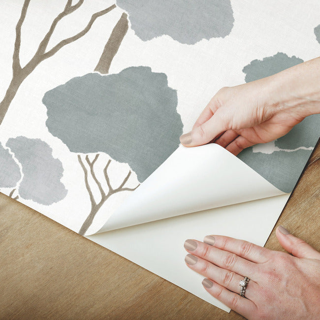 Umbrella Pines Peel & Stick Wallpaper Peel and Stick Wallpaper RoomMates   