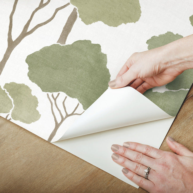 Umbrella Pines Peel & Stick Wallpaper Peel and Stick Wallpaper RoomMates   