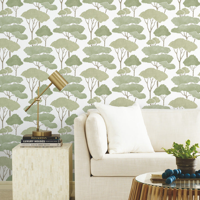 Umbrella Pines Peel & Stick Wallpaper Peel and Stick Wallpaper RoomMates   