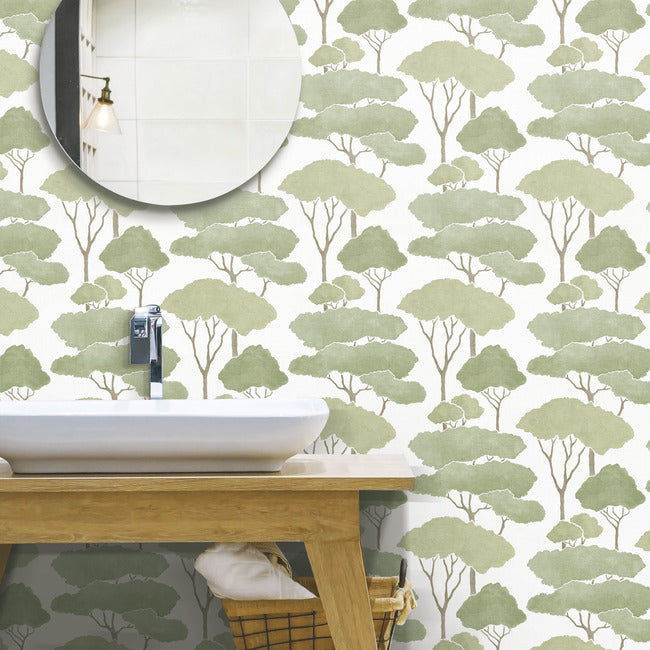 Umbrella Pines Peel & Stick Wallpaper Peel and Stick Wallpaper RoomMates   