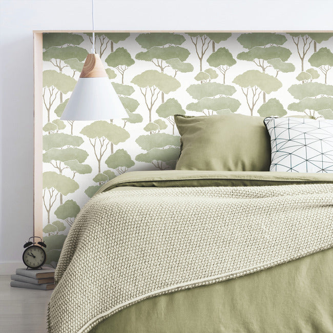 Umbrella Pines Peel & Stick Wallpaper Peel and Stick Wallpaper RoomMates   