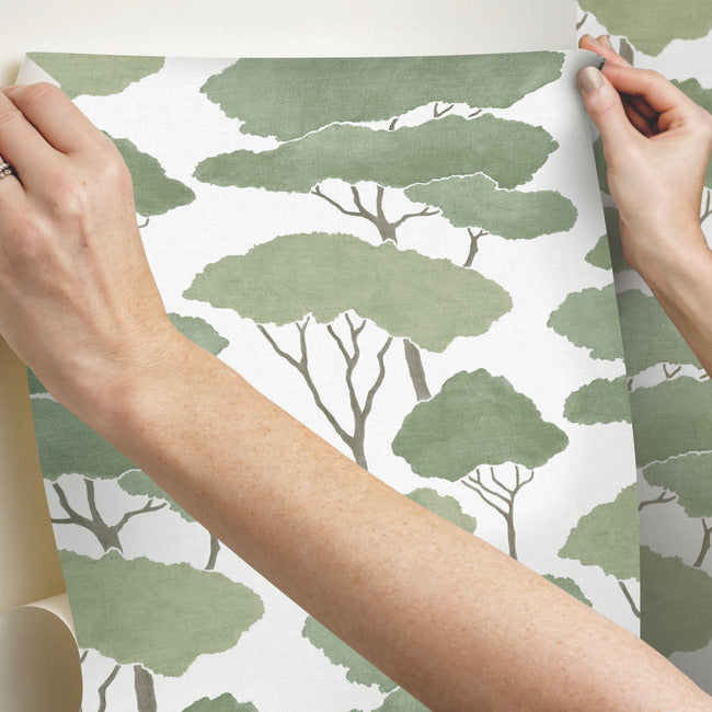 Umbrella Pines Peel & Stick Wallpaper Peel and Stick Wallpaper RoomMates   