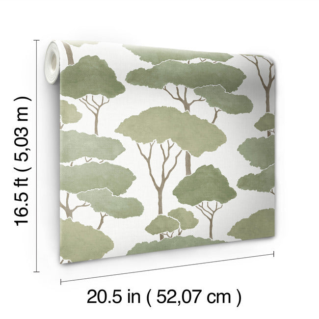 Umbrella Pines Peel & Stick Wallpaper Peel and Stick Wallpaper RoomMates   