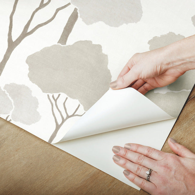 Umbrella Pines Peel & Stick Wallpaper Peel and Stick Wallpaper RoomMates   