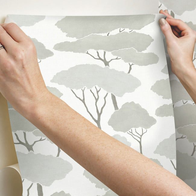 Umbrella Pines Peel & Stick Wallpaper Peel and Stick Wallpaper RoomMates   