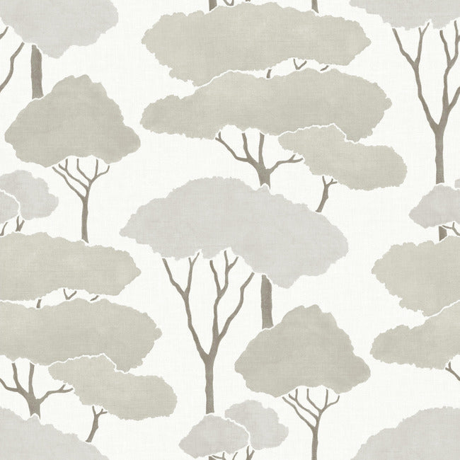 Umbrella Pines Peel & Stick Wallpaper Peel and Stick Wallpaper RoomMates Roll White 