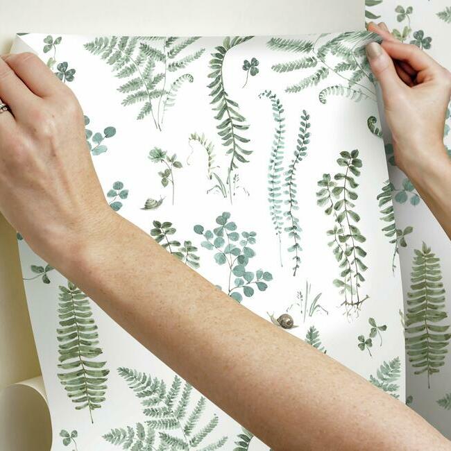 Lisa Audit Fern Study Peel & Stick Wallpaper Peel and Stick Wallpaper RoomMates   