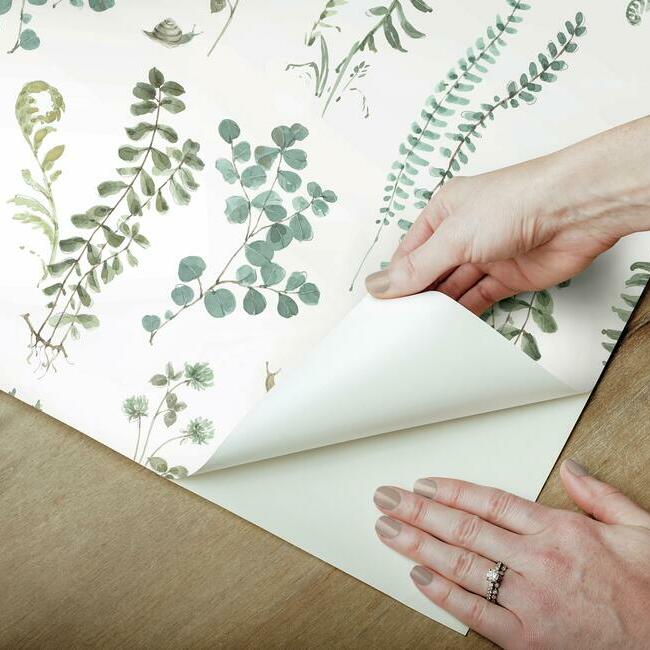 Lisa Audit Fern Study Peel & Stick Wallpaper Peel and Stick Wallpaper RoomMates   