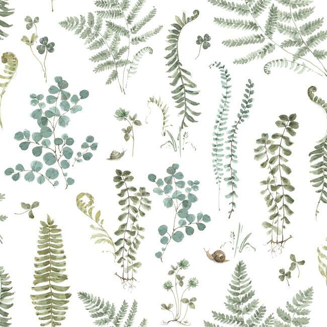 Lisa Audit Fern Study Peel & Stick Wallpaper Peel and Stick Wallpaper RoomMates Roll White 