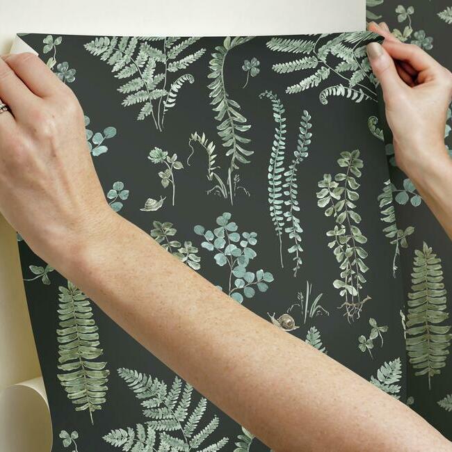 Lisa Audit Fern Study Peel & Stick Wallpaper Peel and Stick Wallpaper RoomMates   