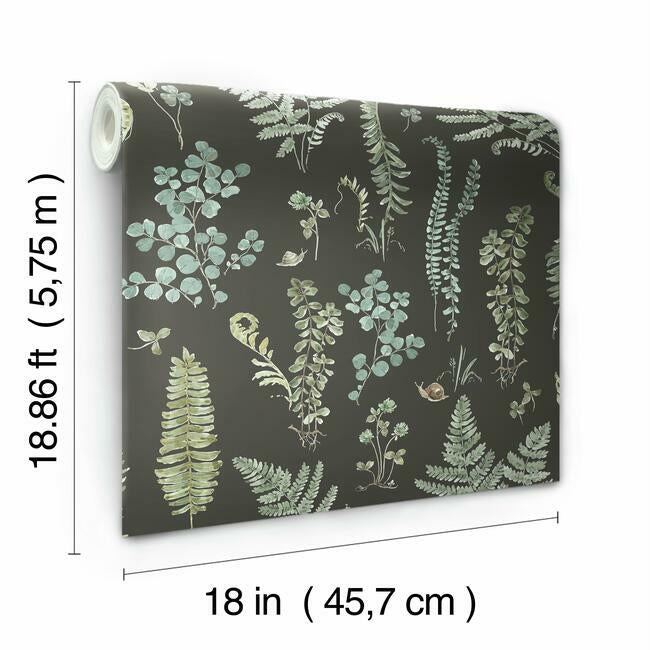 Lisa Audit Fern Study Peel & Stick Wallpaper Peel and Stick Wallpaper RoomMates   