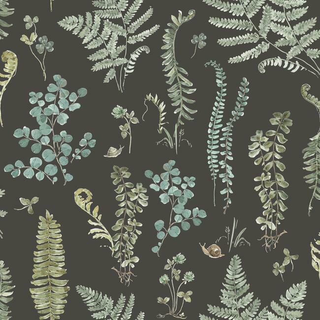 Lisa Audit Fern Study Peel & Stick Wallpaper Peel and Stick Wallpaper RoomMates Roll Black 