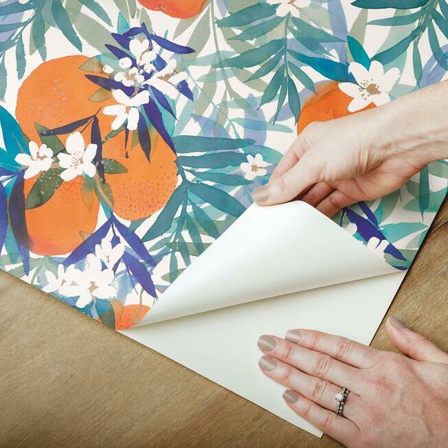 Orange Blossom Peel and Stick Wallpaper Peel and Stick Wallpaper RoomMates   