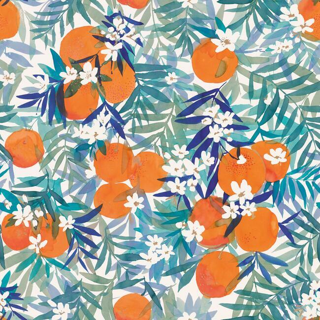 Orange Blossom Peel and Stick Wallpaper Peel and Stick Wallpaper RoomMates