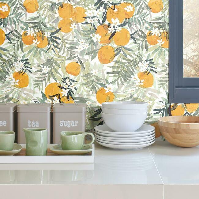 Orange Blossom Peel and Stick Wallpaper Peel and Stick Wallpaper RoomMates   