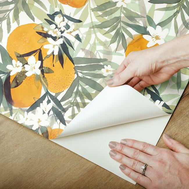 Orange Blossom Peel and Stick Wallpaper Peel and Stick Wallpaper RoomMates   