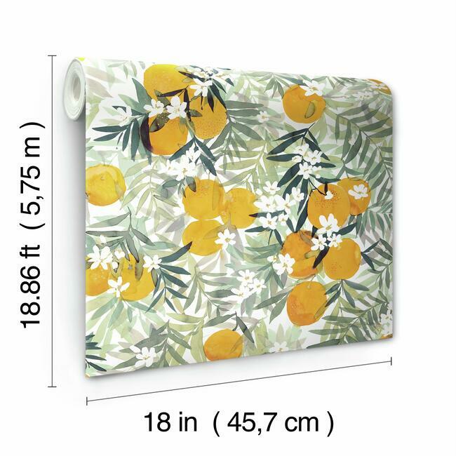 Orange Blossom Peel and Stick Wallpaper Peel and Stick Wallpaper RoomMates   