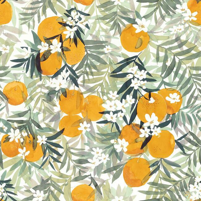 Orange Blossom Peel and Stick Wallpaper Peel and Stick Wallpaper RoomMates Roll Orange/Yellow 