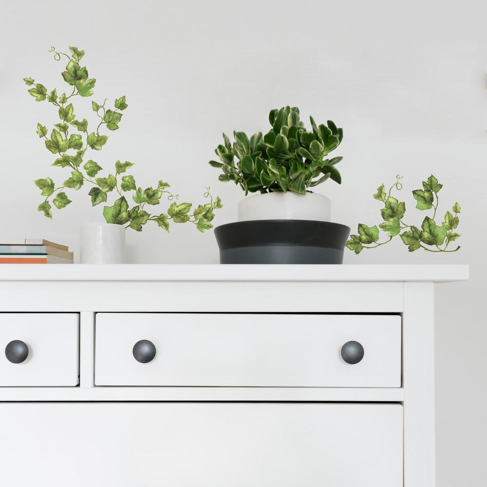 Evergreen Ivy Wall Decals Wall Decals RoomMates   