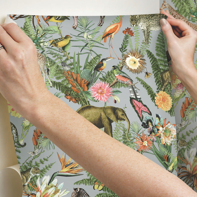 Tropical Zoo Peel & Stick Wallpaper Peel and Stick Wallpaper RoomMates   