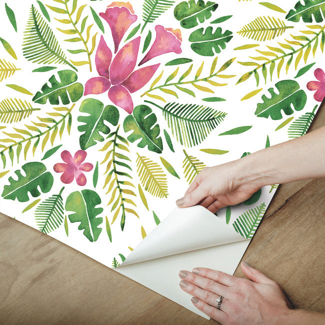 Cat Coquillette Tropical Peel & Stick Wallpaper Peel and Stick Wallpaper RoomMates   