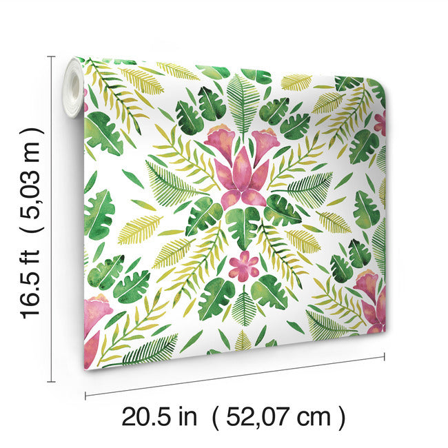 Cat Coquillette Tropical Peel & Stick Wallpaper Peel and Stick Wallpaper RoomMates   