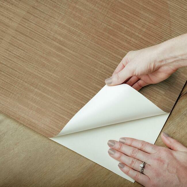 Nikki Chu Sahara Peel and Stick Wallpaper Peel and Stick Wallpaper RoomMates   