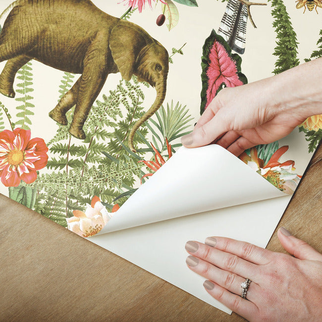 Tropical Zoo Peel & Stick Wallpaper Peel and Stick Wallpaper RoomMates   