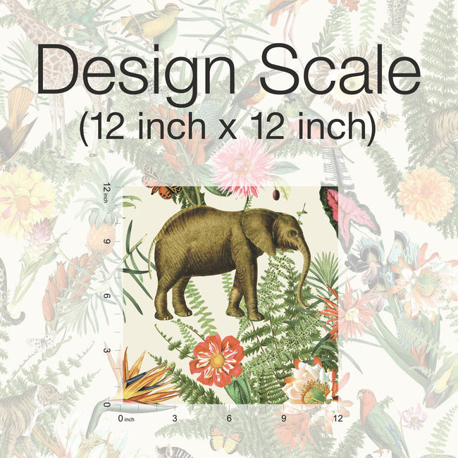 Tropical Zoo Peel & Stick Wallpaper Peel and Stick Wallpaper RoomMates   