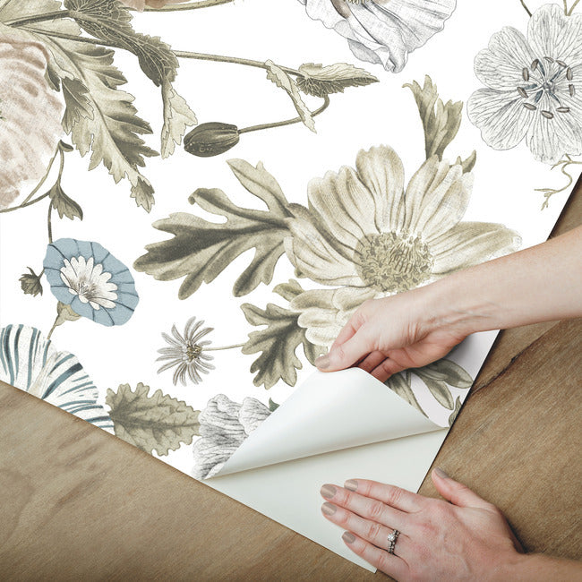 Vintage Poppy Peel & Stick Wallpaper Peel and Stick Wallpaper RoomMates   