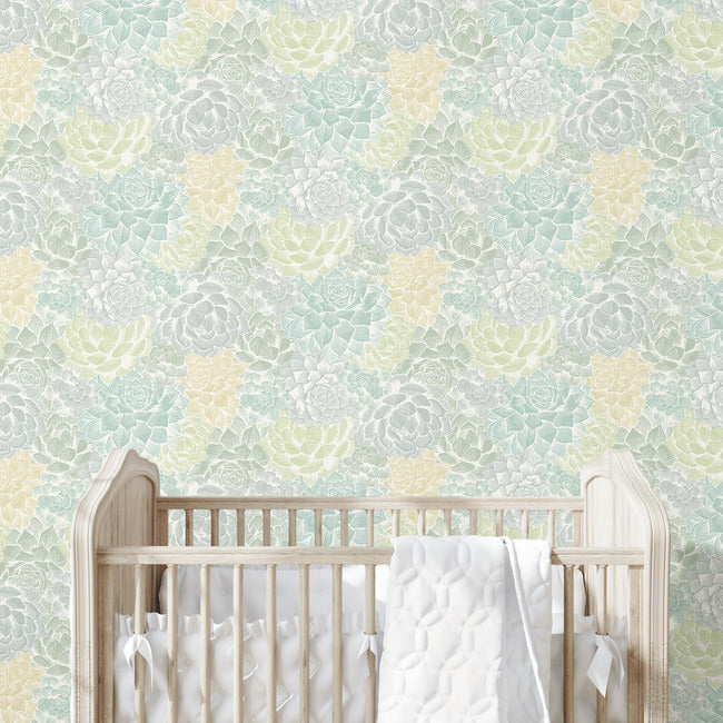 Mr. Kate Succulent Plant Peel & Stick Wallpaper Peel and Stick Wallpaper RoomMates   