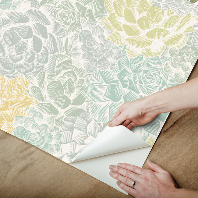 Mr. Kate Succulent Plant Peel & Stick Wallpaper Peel and Stick Wallpaper RoomMates   