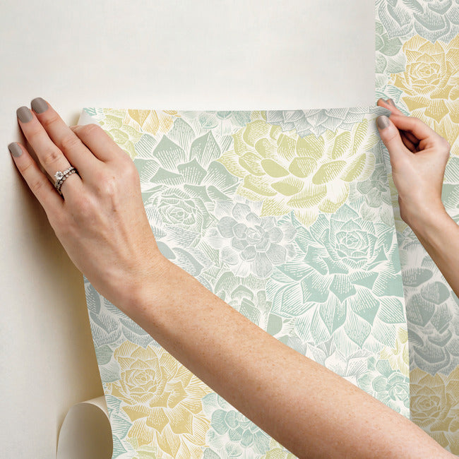 Mr. Kate Succulent Plant Peel & Stick Wallpaper Peel and Stick Wallpaper RoomMates   
