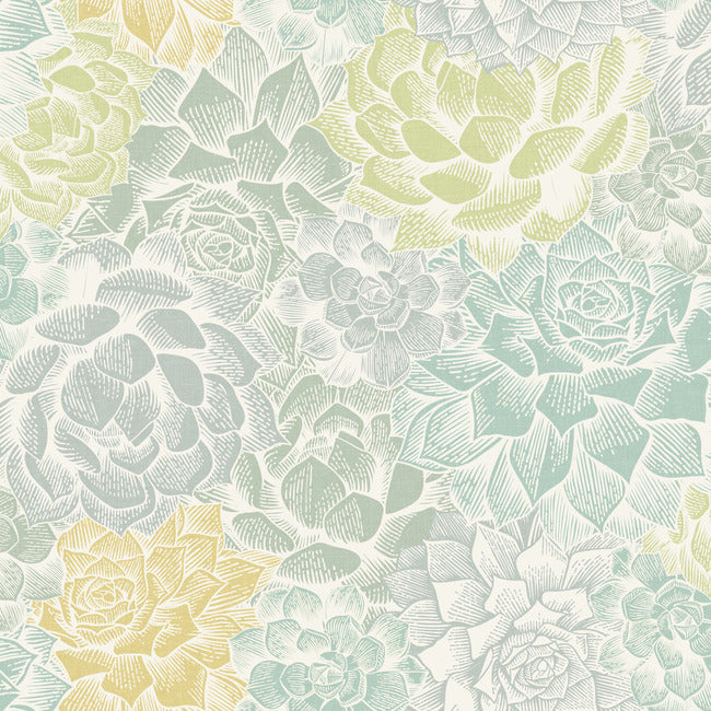 Mr. Kate Succulent Plant Peel & Stick Wallpaper Peel and Stick Wallpaper RoomMates Roll Green/Yellow 