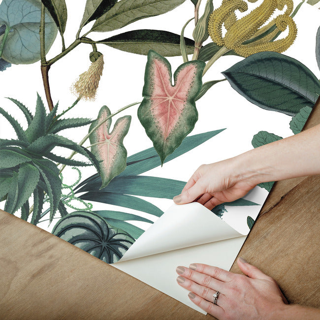 Mr. Kate Tropical Peel & Stick Wallpaper Peel and Stick Wallpaper RoomMates   