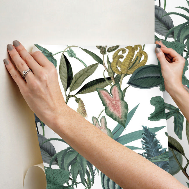 Mr. Kate Tropical Peel & Stick Wallpaper Peel and Stick Wallpaper RoomMates   
