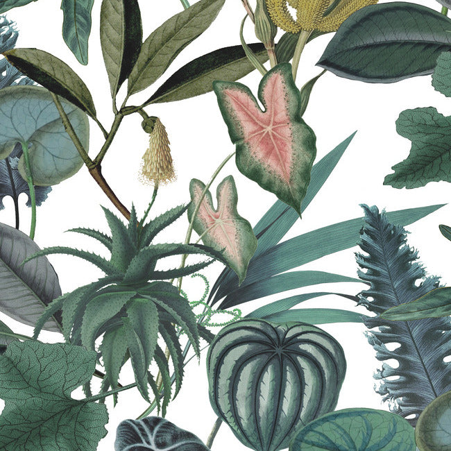 Mr. Kate Tropical Peel & Stick Wallpaper Peel and Stick Wallpaper RoomMates Roll Green 