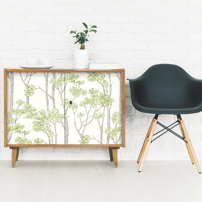 Birch Grove Peel & Stick Wallpaper Peel and Stick Wallpaper RoomMates   