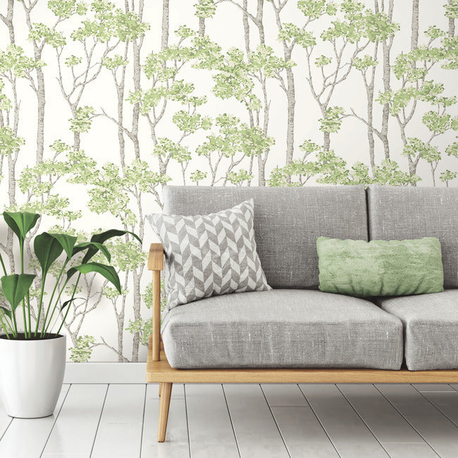 Birch Grove Peel & Stick Wallpaper Peel and Stick Wallpaper RoomMates   