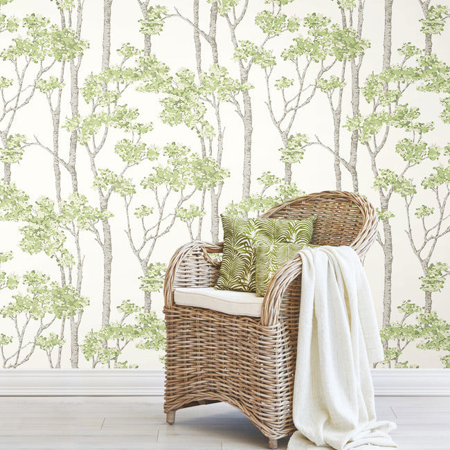 Birch Grove Peel & Stick Wallpaper Peel and Stick Wallpaper RoomMates   