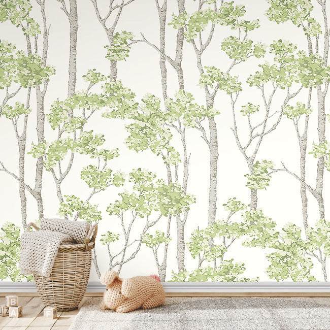 Birch Grove Peel & Stick Wallpaper Peel and Stick Wallpaper RoomMates   
