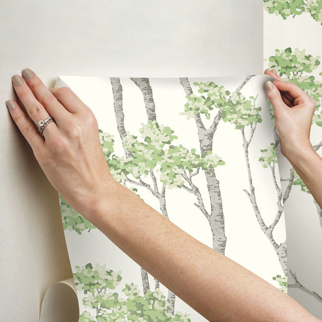 Birch Grove Peel & Stick Wallpaper Peel and Stick Wallpaper RoomMates   