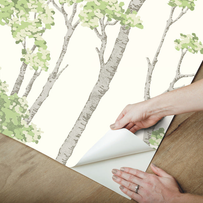 Birch Grove Peel & Stick Wallpaper Peel and Stick Wallpaper RoomMates   