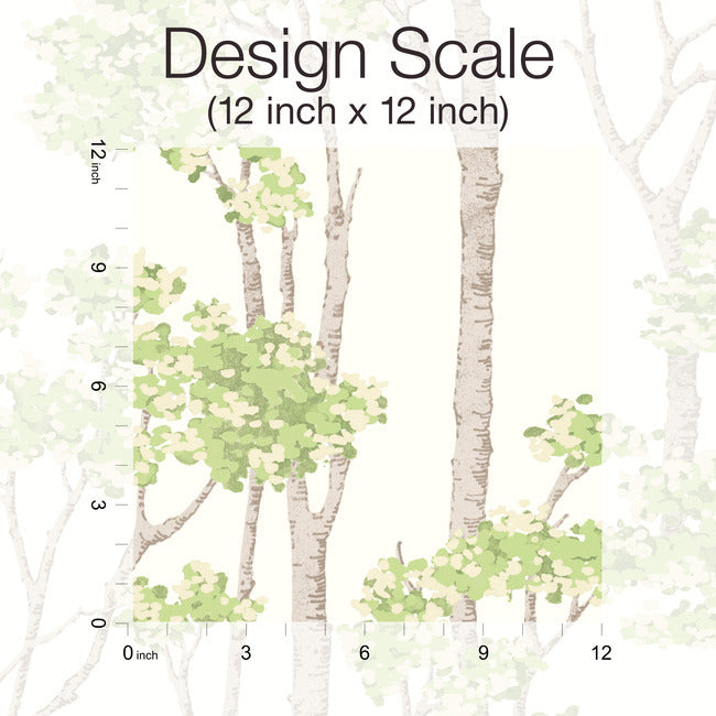 Birch Grove Peel & Stick Wallpaper Peel and Stick Wallpaper RoomMates   