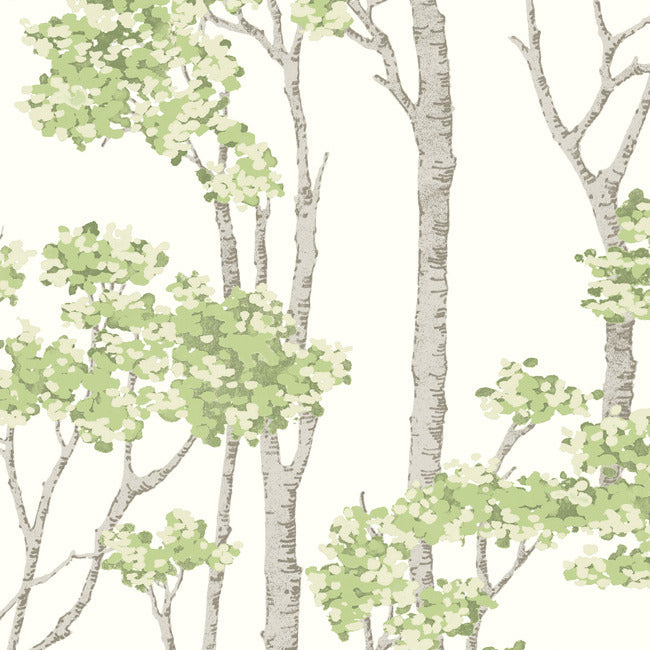 Birch Grove Peel & Stick Wallpaper Peel and Stick Wallpaper RoomMates Roll Green 