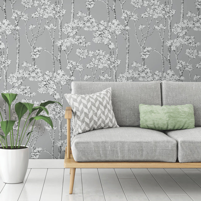Birch Grove Peel & Stick Wallpaper Peel and Stick Wallpaper RoomMates   