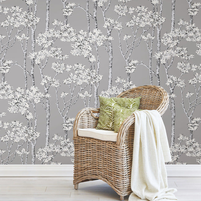Birch Grove Peel & Stick Wallpaper Peel and Stick Wallpaper RoomMates   