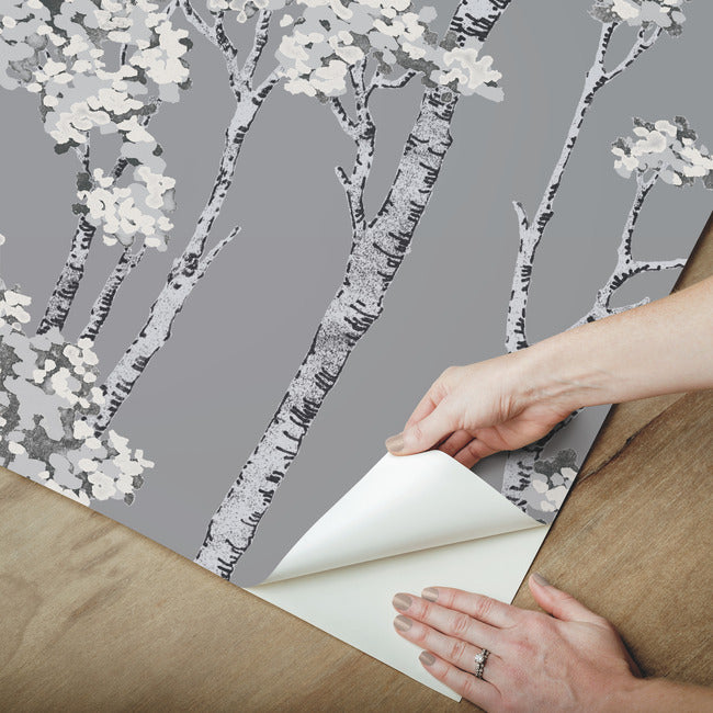 Birch Grove Peel & Stick Wallpaper Peel and Stick Wallpaper RoomMates   