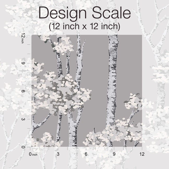 Birch Grove Peel & Stick Wallpaper Peel and Stick Wallpaper RoomMates   